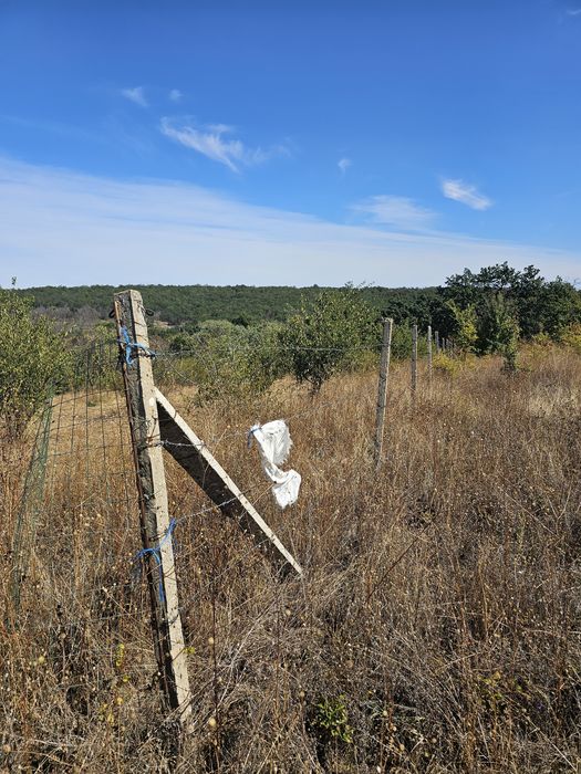 Продава се Земеделски имот в Плевен, Дружба 1 -  кв.м за 780 €/дка - Снимка #1