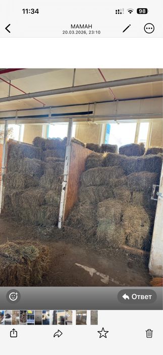 Продам сено в тюках самовывоз центр города