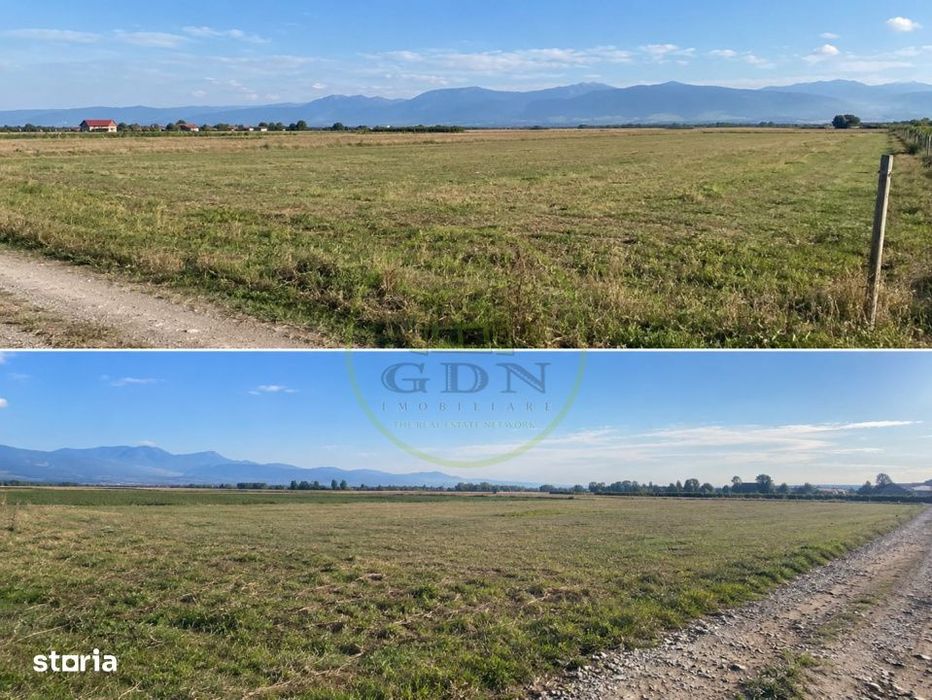 TEREN EXTRAVILAN 4.700 MP – AVrig, langa padure | 55.000 €