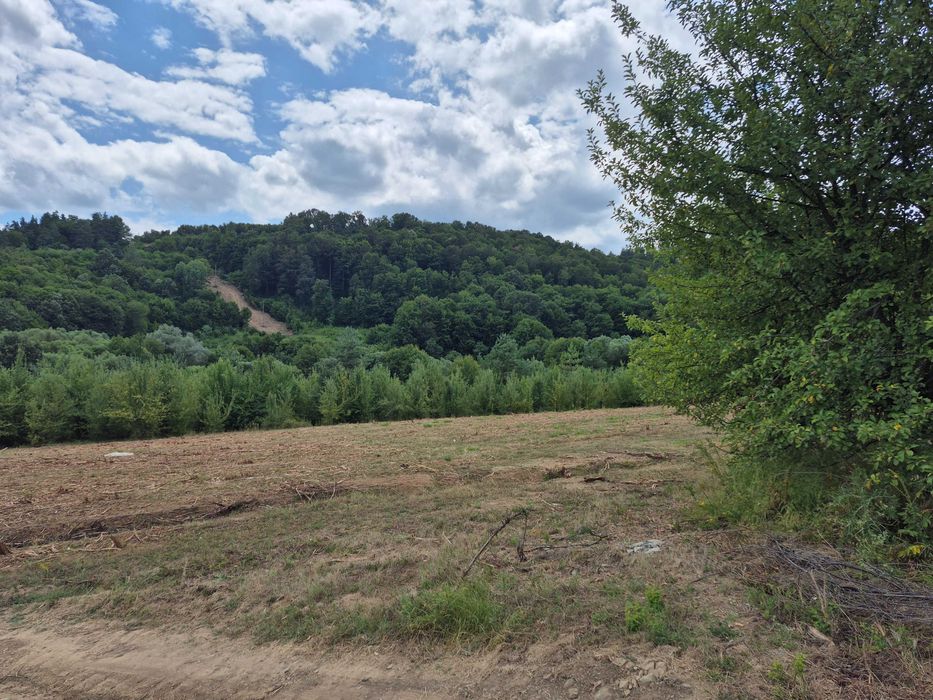 Продава се Парцел в Трявна - 2300 кв.м за 10 €/кв.м - Снимка #2