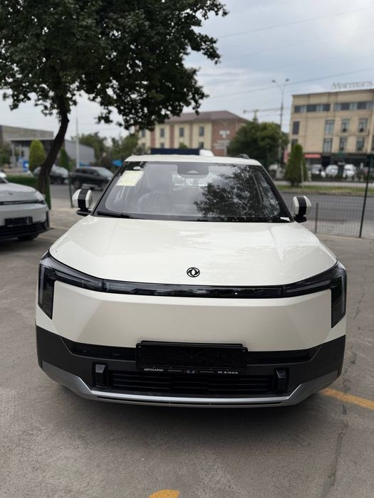 Dongfeng Nammi 06 2026