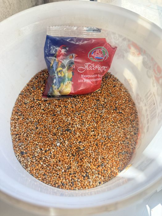 Папугау +сетка , +корм