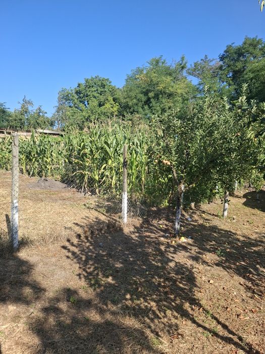 Casă de vânzare, Brăhășești, jud. Galati