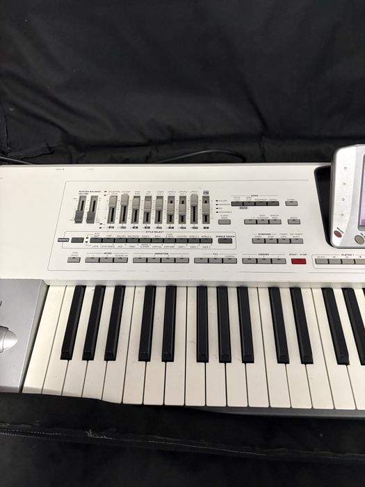 Vand korg pa2x pro 256mb ram+husa