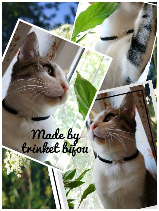 Декоративный ошейник для кошек.