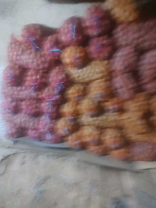 Vând cartofi de sămânță roșu și alb