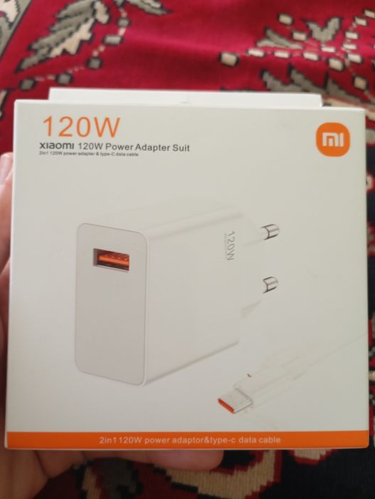 Zaryadchik 120 W