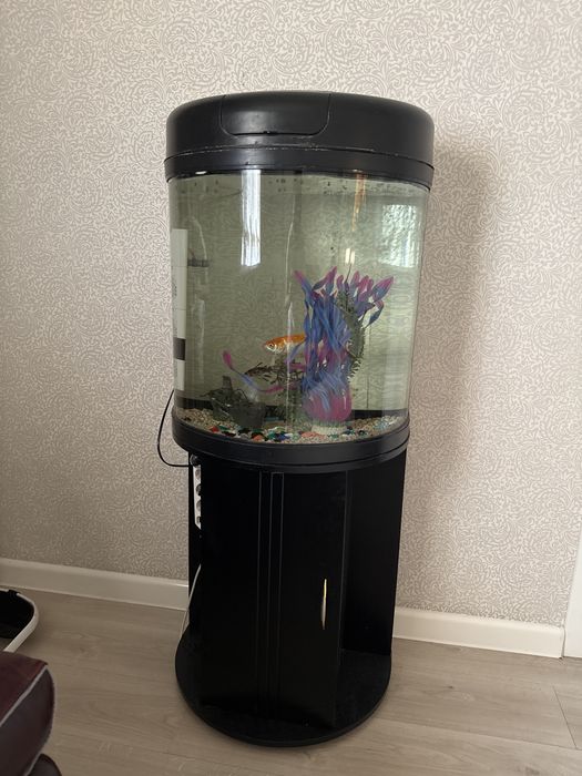 Аквариум со всеми принадлежностями