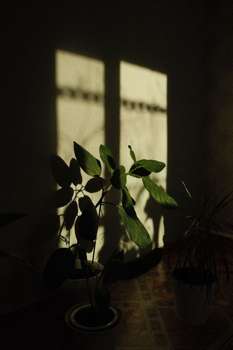 Fujifilm X-T3 фотоаппарат