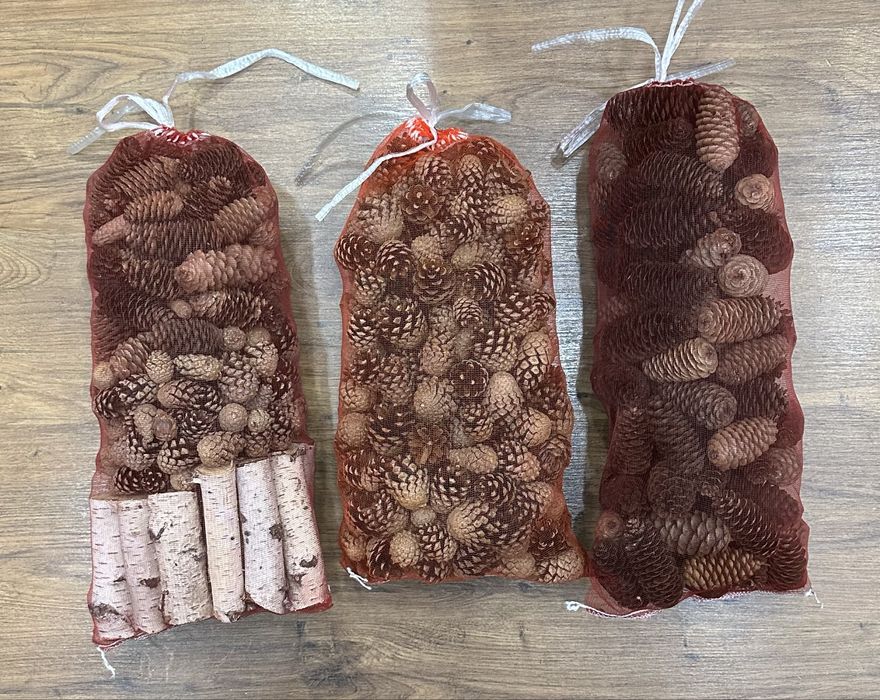 Шишки и береза для самовара и не только…