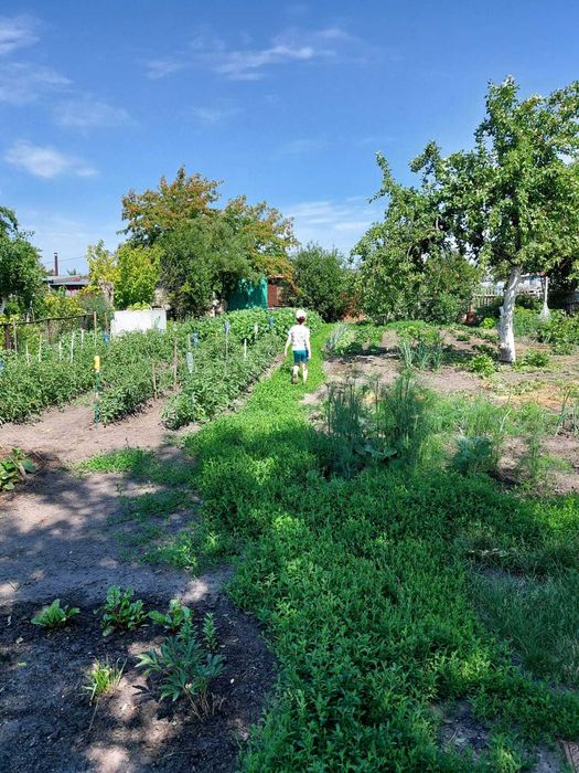 Продам дачу!!( р-н Новопавловка). ТОРГ!