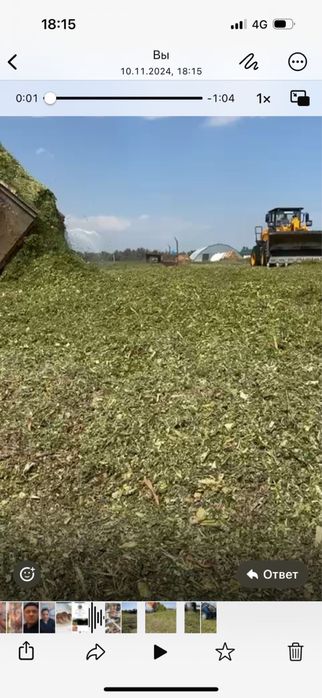 Продам силос 40 тенге за килограмм