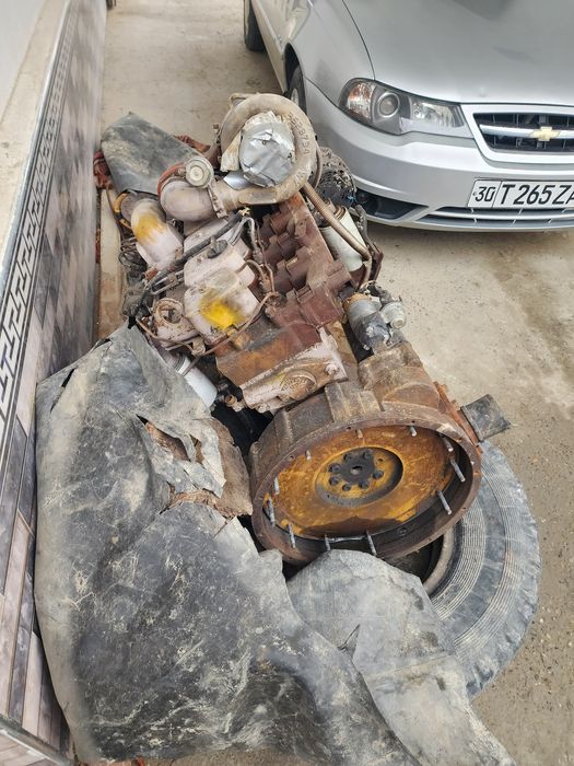 Cuminis mator sotiladi