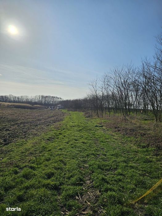 Teren extravilan pentru balastiera Biharia
