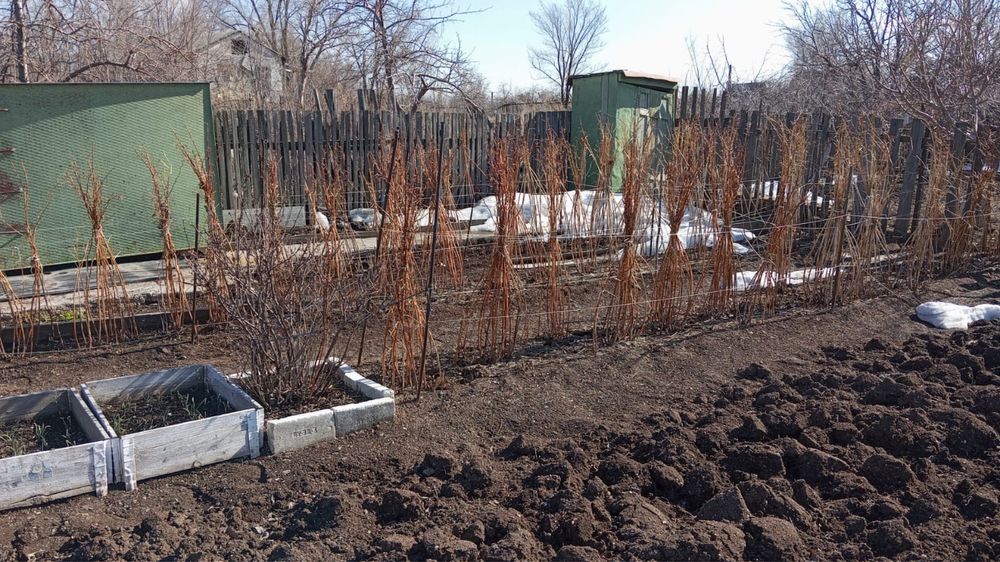 Продается дача , г.Темиртау