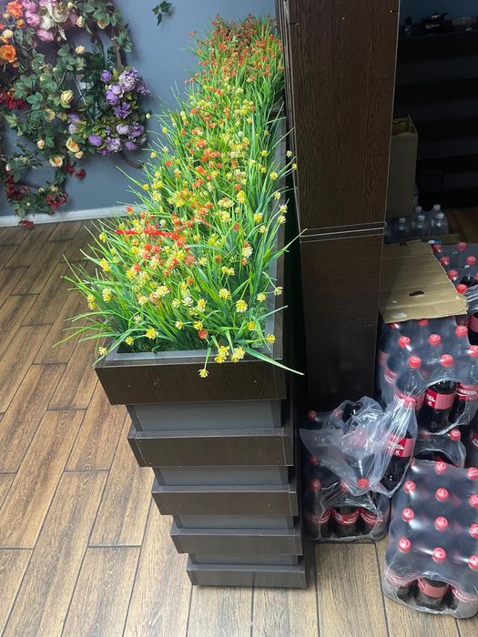 декор  цветов бағасы 15000