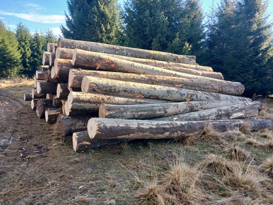 Vand bustean gater fag