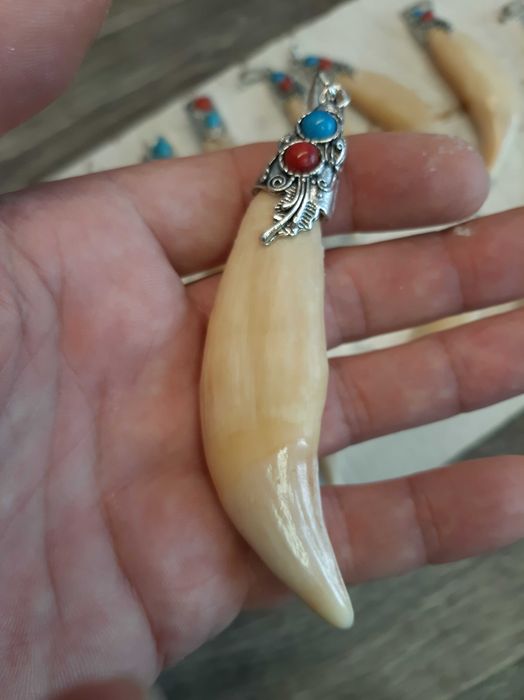 Клык оригинал, натуральный.