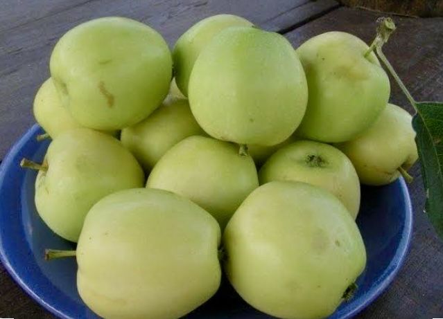 Яблоки отборные, домашние, разные сорта