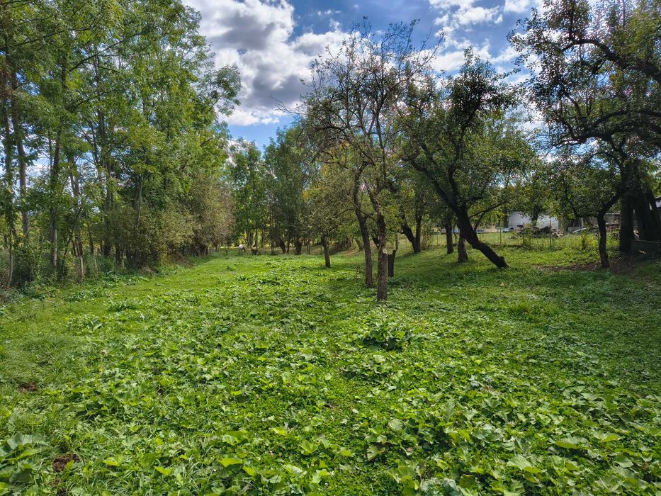 Teren intravilan de vanzare in Fieni (cartier Costesti) - 2000 mp