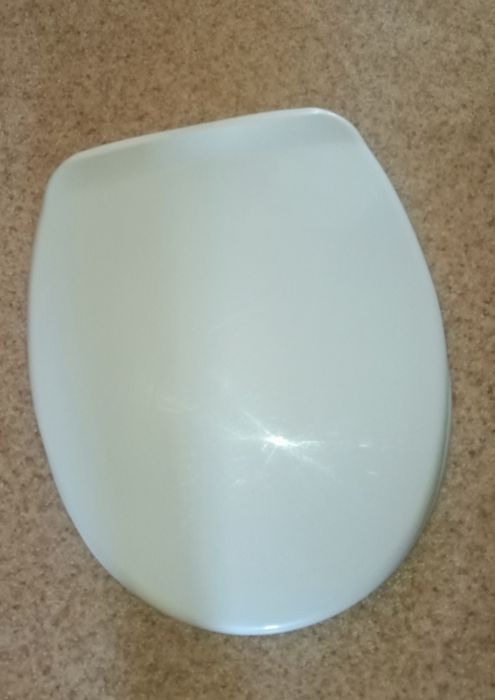 Раковина разная 2500