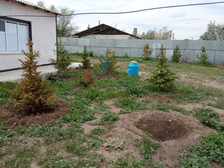 Озеро Балхаш п.Торангалык