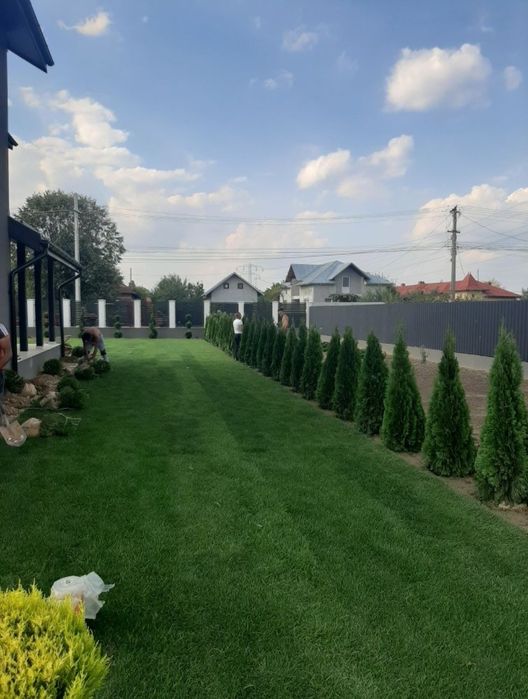 Amenajari spatii verzi si defrisari terenuri