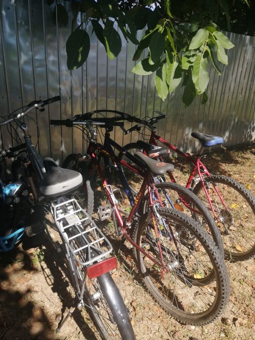 Biciclete de vanzare