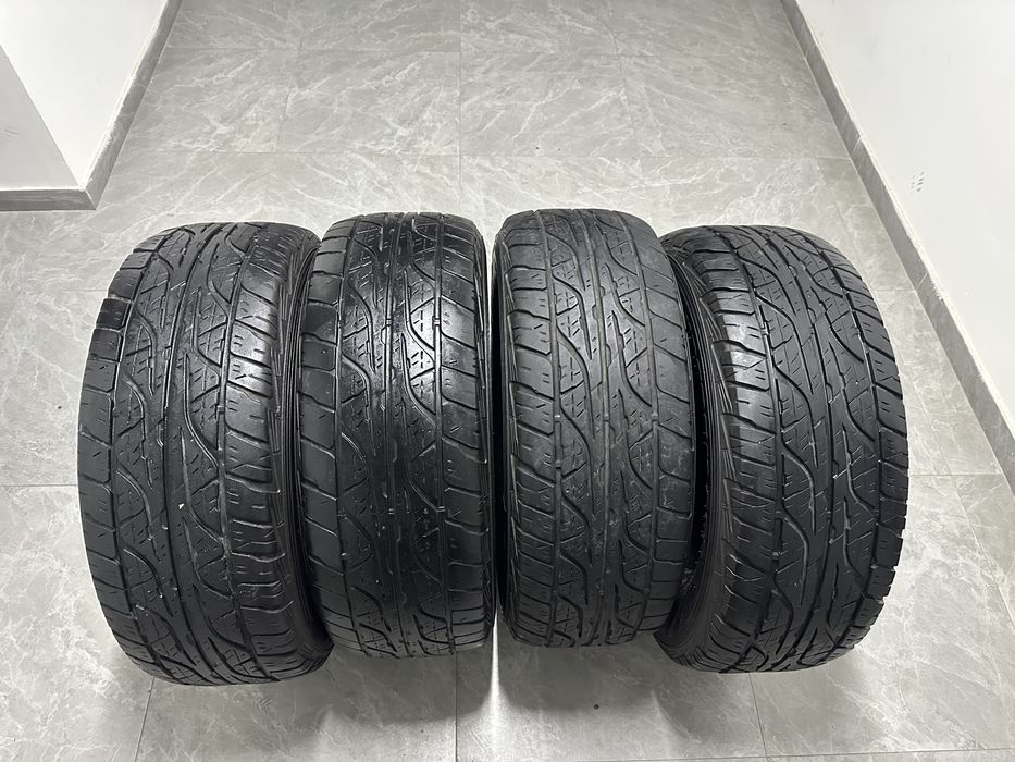 Шины летние Dunlap