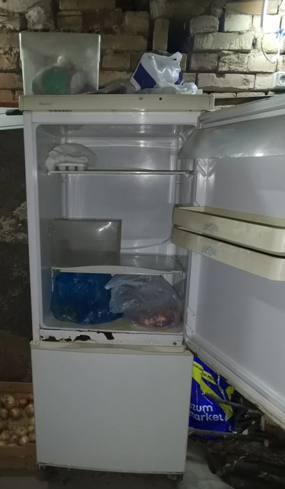 Холодильник Snaige