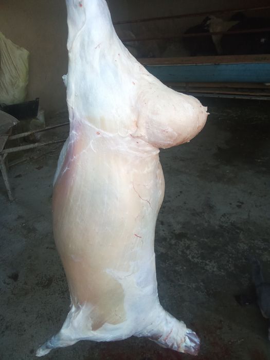 Кассоб хизмати 200000