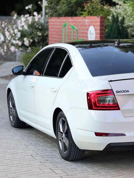 Skoda Octavia Škoda GreenLine Black & White | 1.6 TDI 110 CP | Full Dotări | Distrib