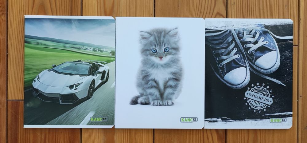 Тетради общие новые 48 листов