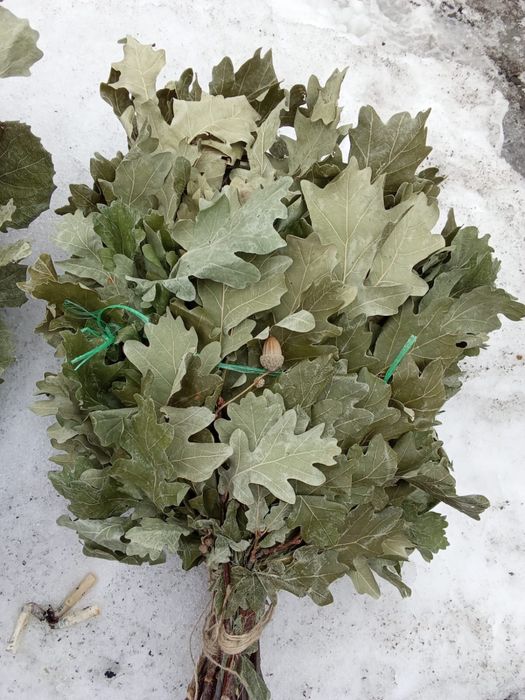 Банные веники березовые, дубовые