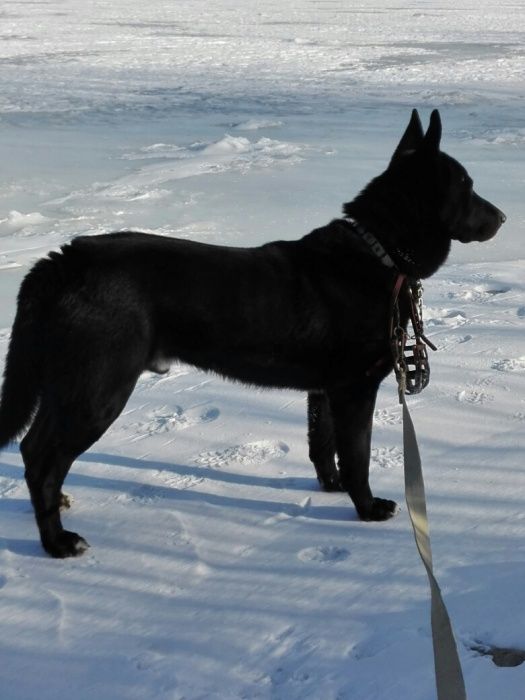 Ждем подружку