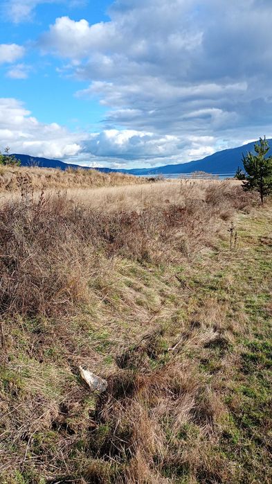 Земеделска земя гр.Сърница Родопите