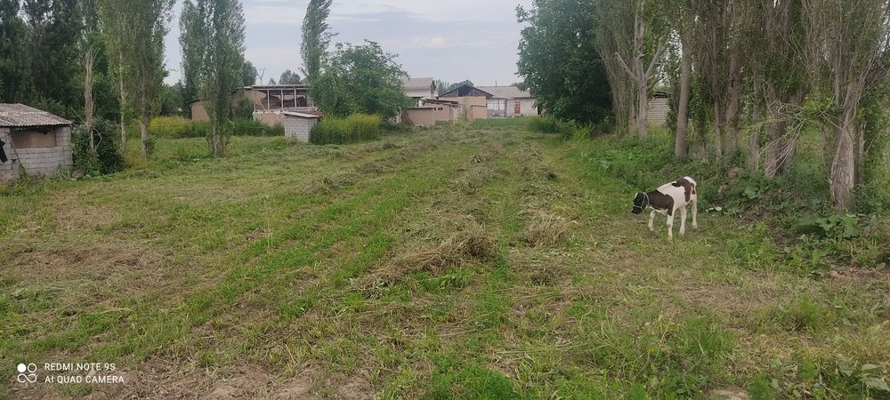 12 sotix yer sotiladi