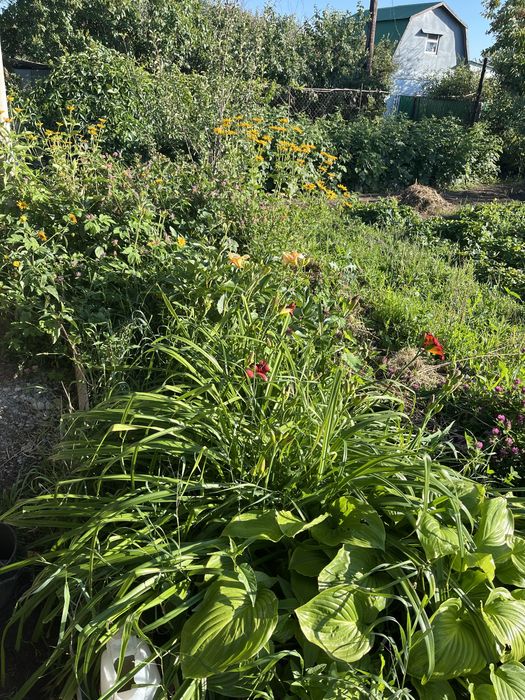 Продам дачу в обществе Черемушки