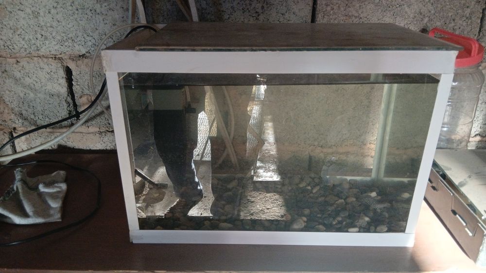 Продаются аквариумы