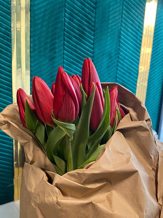 Тараз цветы Голландские тюльпаны