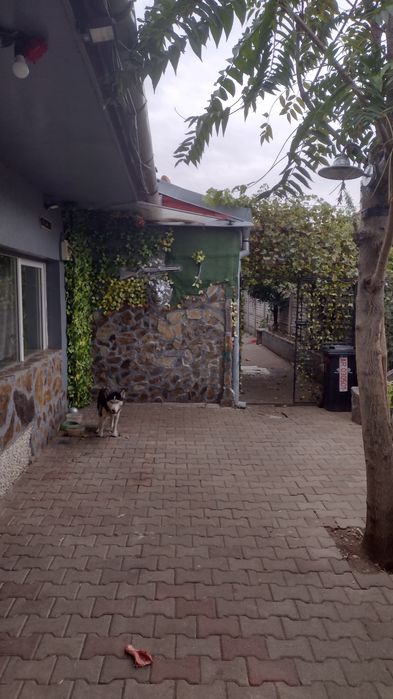Inchiriez ap la casa separat