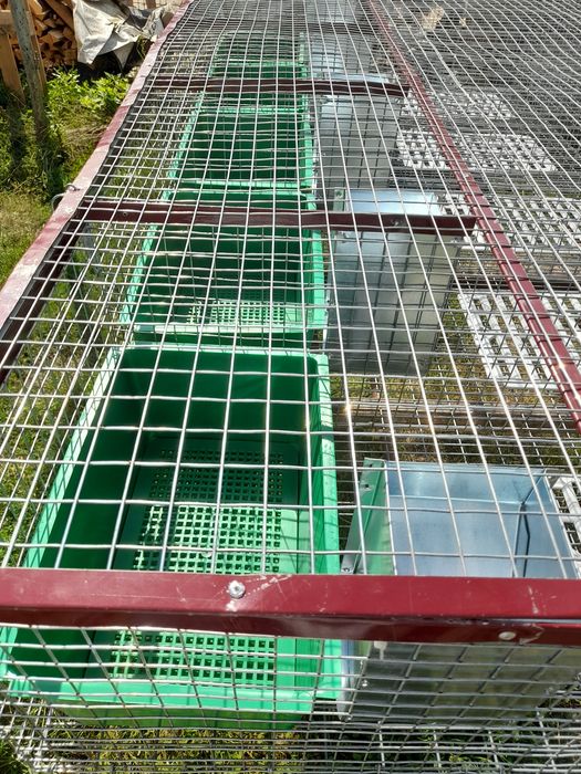 Cusca iepuri pt fatare si tineret