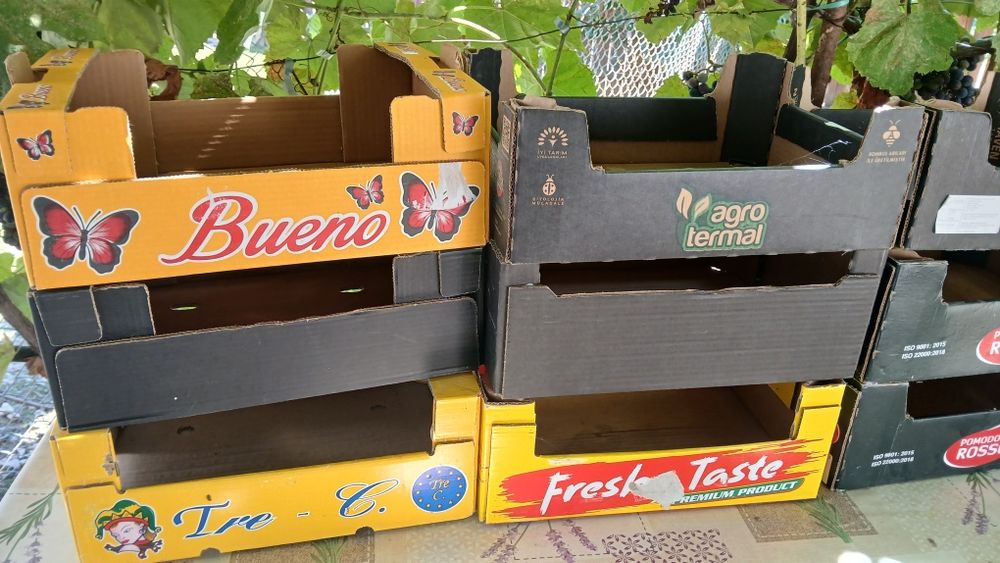 Lazi de carton pentru roșii .