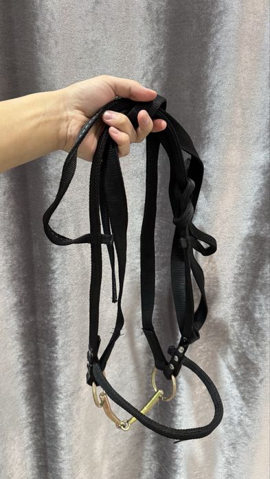 Тайға арналған жүген