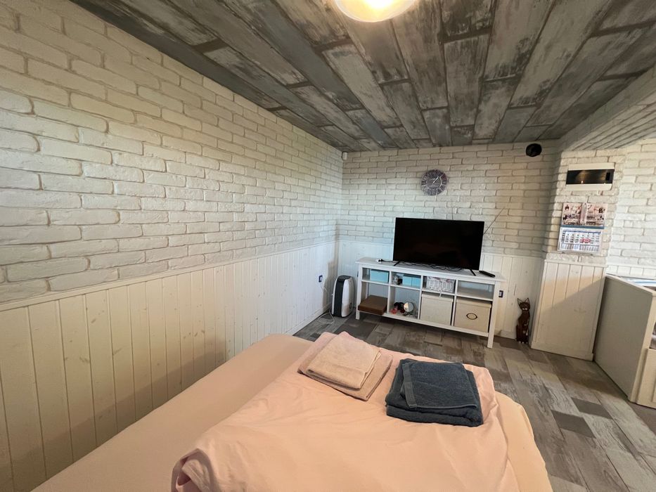 Стая   под   наем