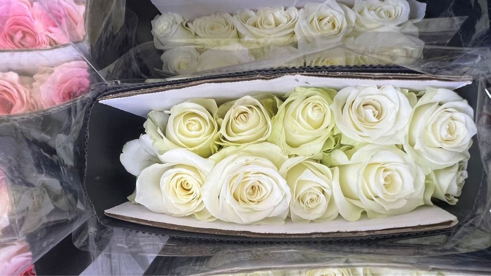 Розы оптом китай