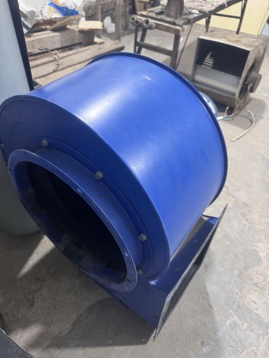 Pashtiy yeng oyilga 3 oy iwlatilgan