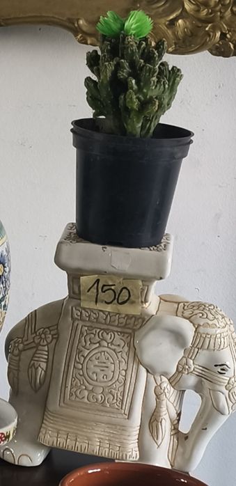 Set elefanți ceramici : suport ghivece