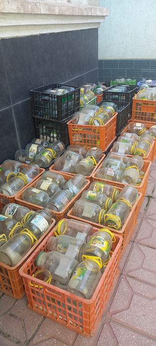 Банки стекленный