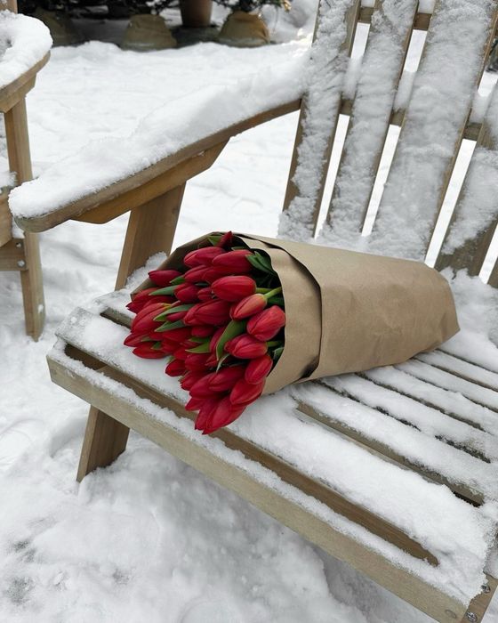 Тюльпаны на 8 марта!